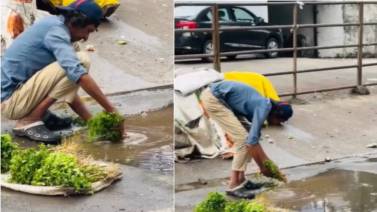surat-news-vegetable-vendor-washes-coriander-in-dirty-gutter-water-631176