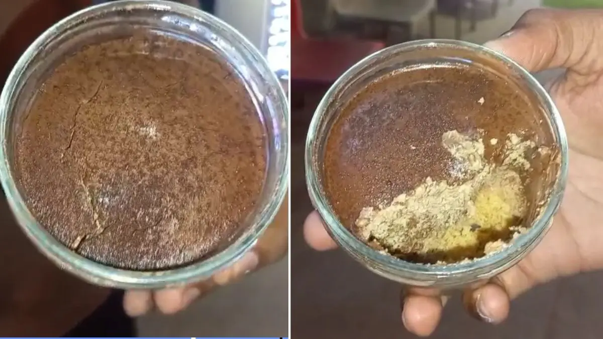 vadodara-students-find-mouldy-cheesecake-from-santushti-outlet-demand-action-from-health-dept-632738