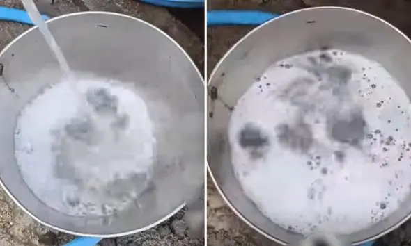 Vadodara News: બકરાવાડીમાં ગંદુ અને દુર્ગંધયુક્ત પાણી મળતા નાગરિકોમાં રોષ, ઉગ્ર આંદોલનની ચીમકી