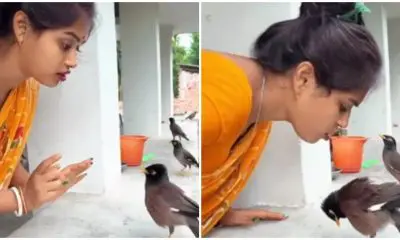 Viral Video: પક્ષીઓ સાથે વાત કરતી મહિલા, બંનેની દોસ્તીનો આ વીડિયો જોઈને તમે પણ કહેશો - વાહ…