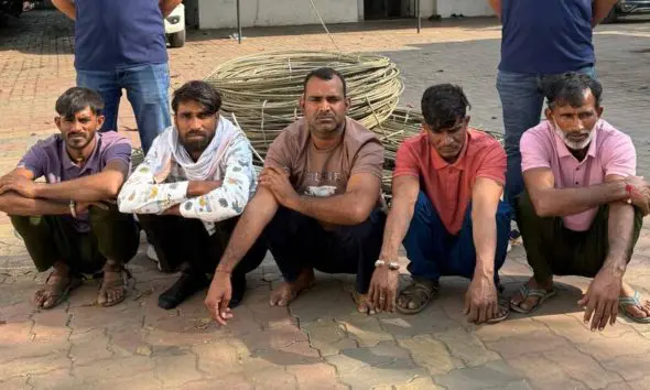 https-www-gujaratijagran-com-gujarat-amreli-amreli-news-wife-commit-suicide-by-hang-her-self-at-vijpadi-village-of-savarkundla-663589