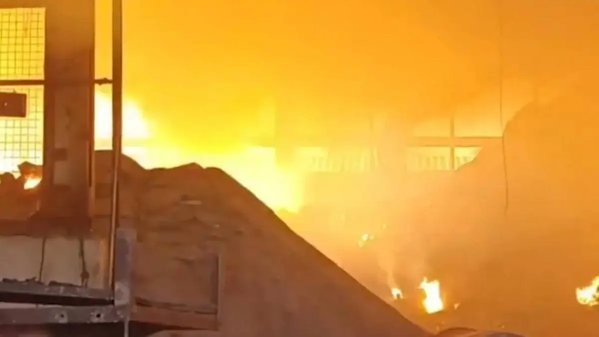 Valsad: પારડીના ઉમરસાડી સ્થિત બે.એન. ઈન્ડસ્ટ્રીઝમાં ભીષણ આગથી અફરાતફરી, લાખોનો માલ બળીને રાખ; જુઓ VIDEO