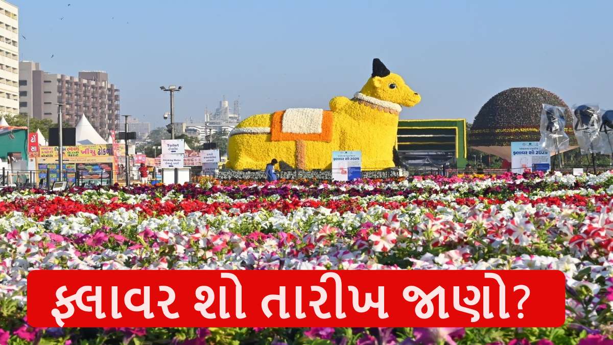 Flower Show Ahmedabad 2026 Dates: રિવરફ્રન્ટ પર ફૂલોથી કંડારાશે ભારતનો ઈતિહાસ: જાણો કયા દિવસે થશે ફ્લાવર શો 2026નું ઉદ્ઘાટન?