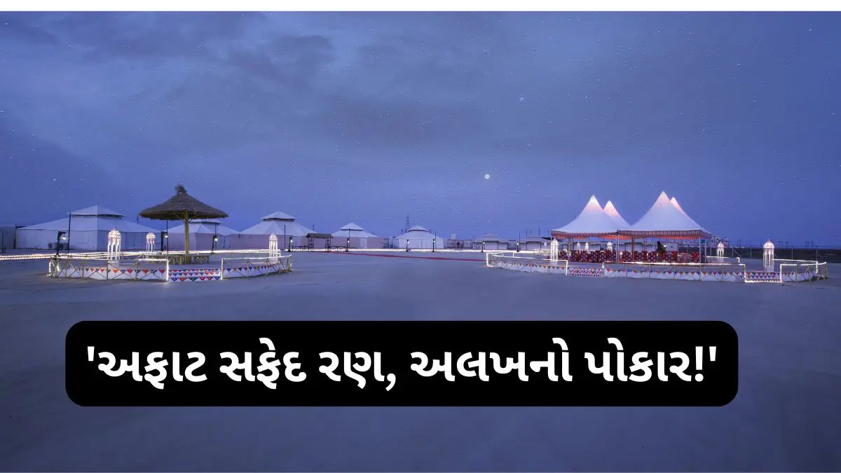 kutch-news-kutch-ranotsav-2025-begin-in-dhordo-cm-bhupendra-patel-share-video-on-social-media-649068