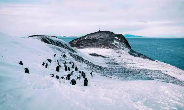 લો બોલો..પગાર અધધ 1.3 કરોડ રૂપિયા સાથે રહેવું-ખાવું પણ એકદમ ફ્રી, છતાં યુવકને ગર્લફ્રેન્ડની ચિંતા; સોશિયલ મીડિયામાં માંગી સલાહ