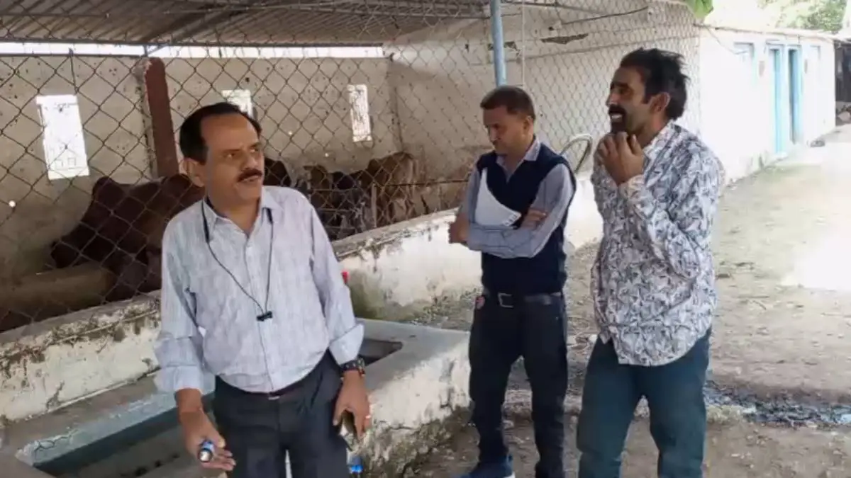 amreli-news-suspected-congo-fever-case-in-savarkundla-health-department-alert-649635