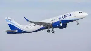 IndiGo Flight Status: એરપોર્ટ પર જતાં પહેલા જાણી લો તમારી ઇન્ડિગો ફ્લાઇટનું લાઇવ સ્ટેટસ, આ રીતે ઓનલાઇન ચકાસો