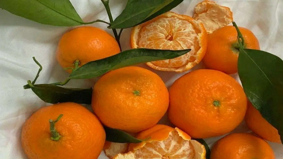 its-peel-is-even-more-beneficial-than-oranges-651663