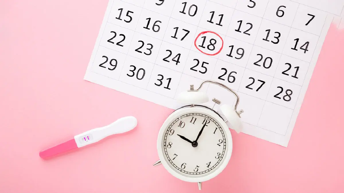 when-do-first-periods-come-after-pregnancy-652742