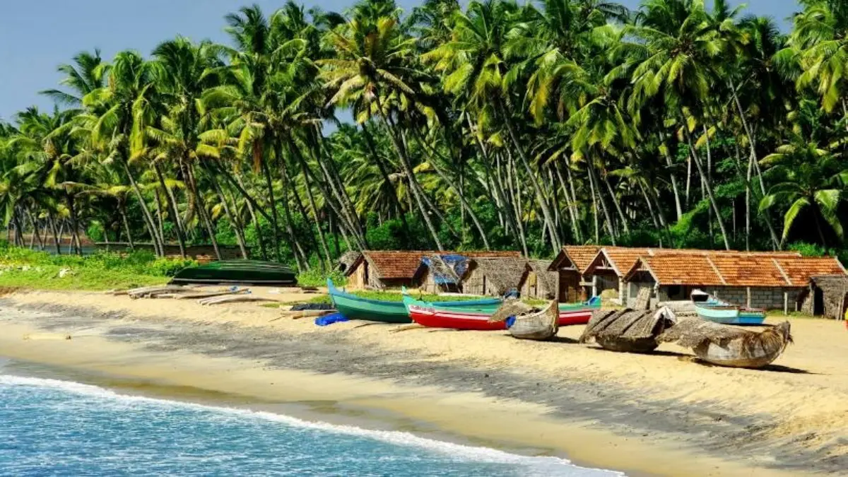 new-year-2026-plan-to-visit-this-place-in-goa-apart-from-the-beach-651658