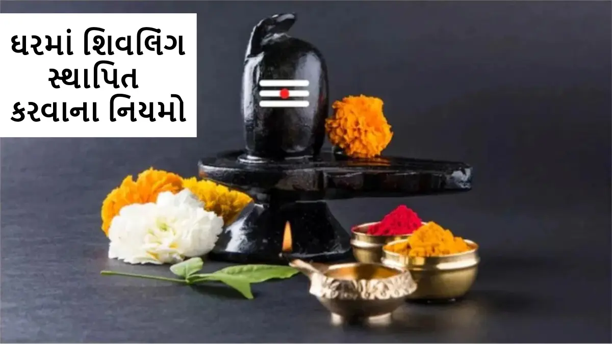 rules-and-correct-direction-for-installing-shivlinga-658777
