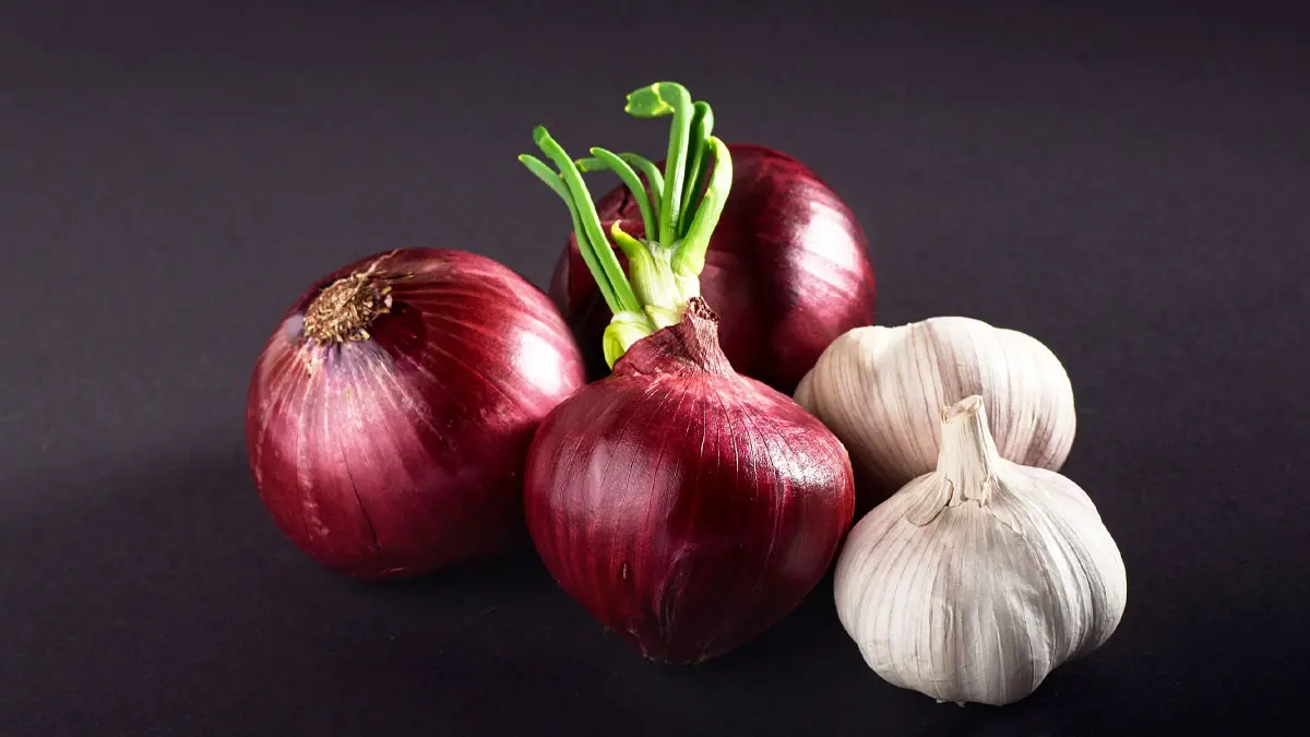 ahmedabad-couple-divorces-over-eating-onions-garlic-case-reaches-gujarat-high-court-652168