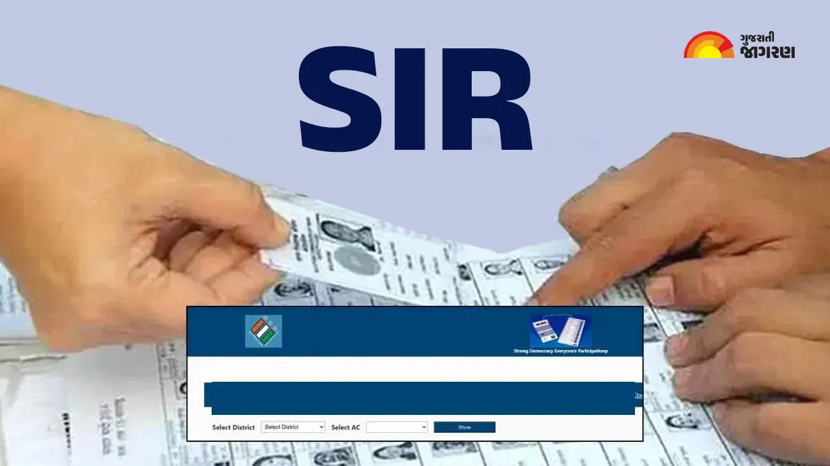 more-than-4-21-lakh-senior-citizen-voters-identified-in-33-districts-in-gujarat-dses-will-be-verified-651911