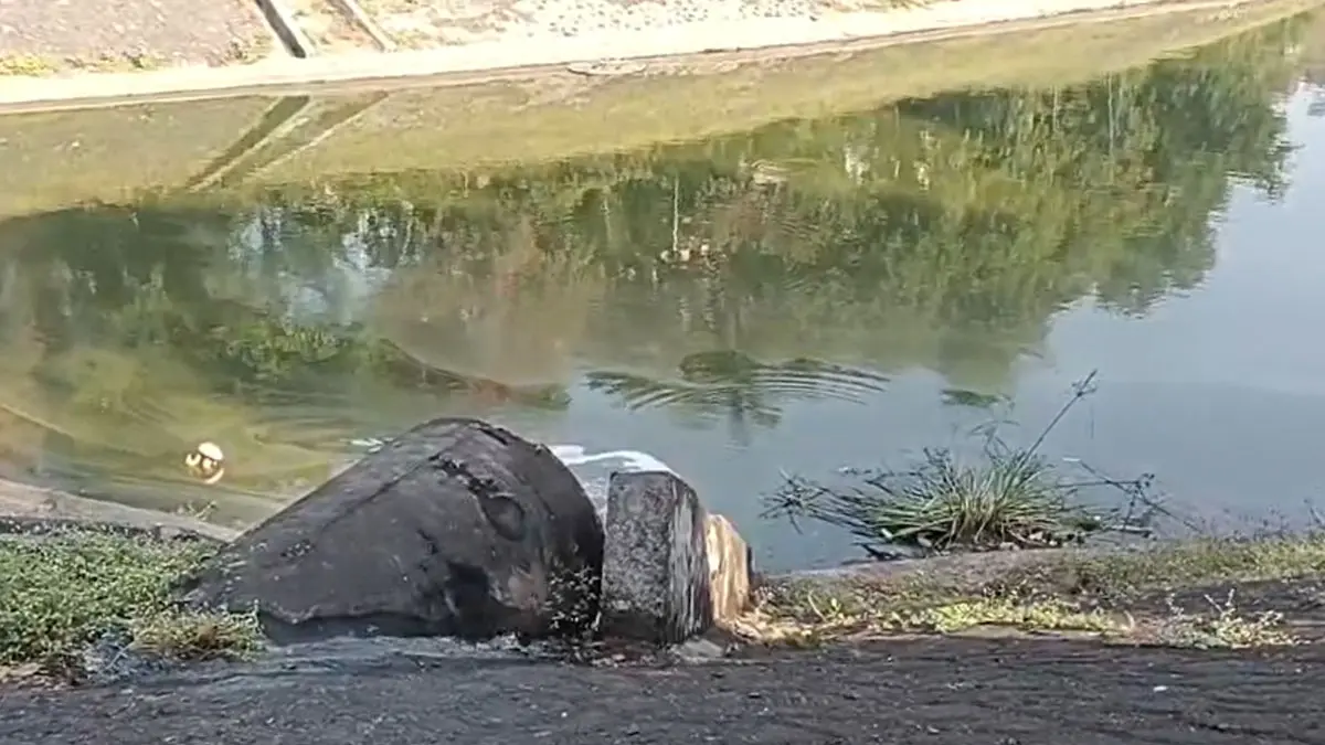 Surat News: અડાજણના કવિ કલાપી ગાર્ડનમાં ગંદા પાણીનો ત્રાસ : રહીશો પરેશાન, મોઢે રૂમાલ બાંધીને વોકિંગ કરવાની પડે છે ફરજ