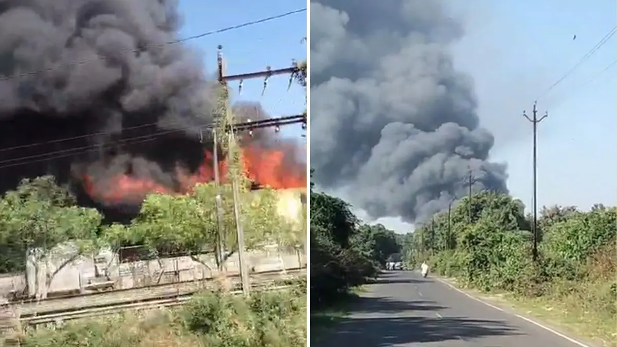 vadodara-news-fire-erupts-in-ankodia-warehouse-651713