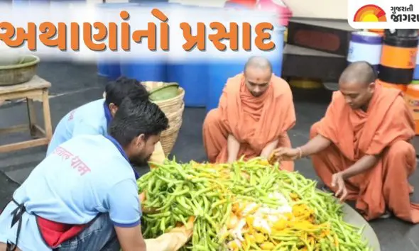 અધધ એક લાખ કિલો અથાણાનો પ્રસાદ, વડતાલ સ્વામિનારાયણ મંદિરમાં શરૂ થયો સેવાયજ્ઞ