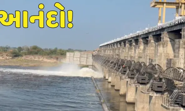 ભાદર-2 ડેમમાંથી સિંચાઈ માટે પાણી છોડાયું, ઘેડ પંથકના ખેડૂતો માટે સંજીવની સમાન