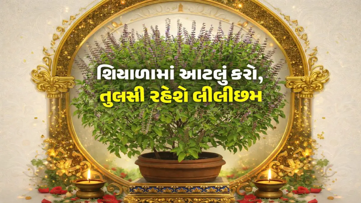 5-easy-ways-to-make-basil-green-again-after-it-dries-up-in-winter-667361