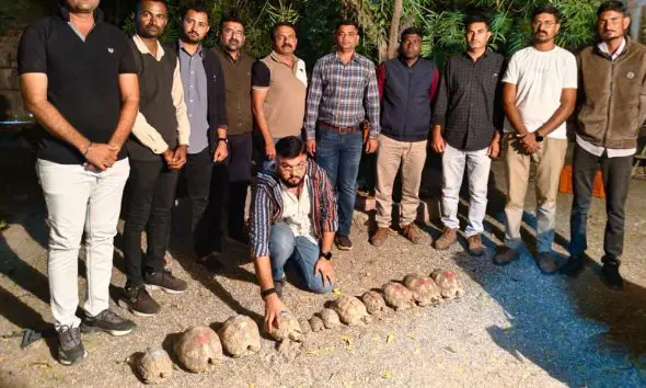 Devbhumi Dwarka: ભાણવડમાં SOG પોલીસની મોટી કાર્યવાહી, દુર્લભ પ્રજાતિના 12 'સૂર્ય કાચબા' સાથે એકની ધરપકડ