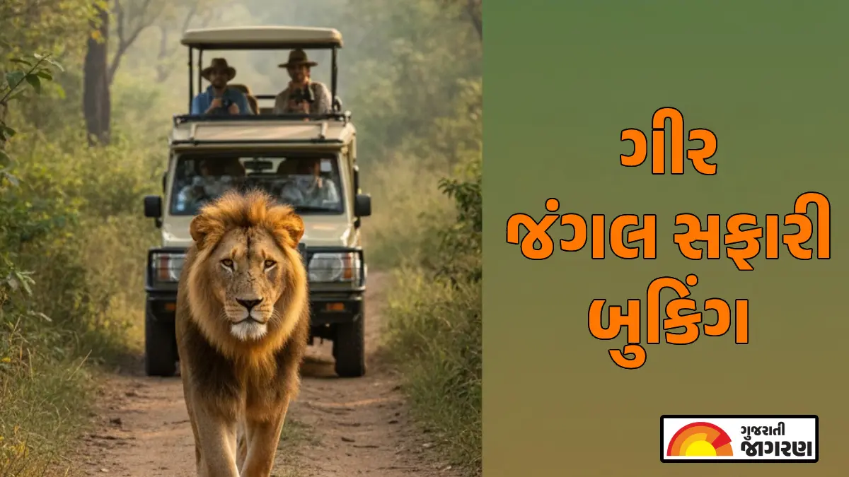 ગીર જંગલ સફારી બુકિંગ | સાસણ ગીર નેશનલ પાર્ક સફારી, ફી, સમય અને ચાર્જિસ