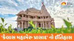 પૃથ્વીના તેજપૂંજ સમાન 'કૈલાસ મહામેરુ પ્રાસાદ' નો ઈતિહાસ અને સ્થાપત્ય વૈભવ, વાંચો...