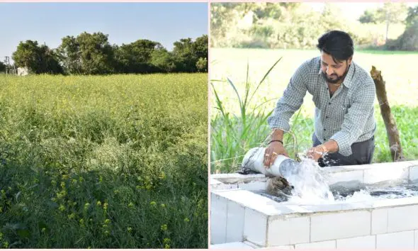 પાટણના ખેડૂતની સાફલ્ય ગાથા: રાસાયણિક ખેતી છોડી અપનાવી પ્રાકૃતિક ખેતી, 5 વીઘામાં શાકભાજી અને અનાજ ઉગાડી મેળવ્યો 2 લાખનો નફો