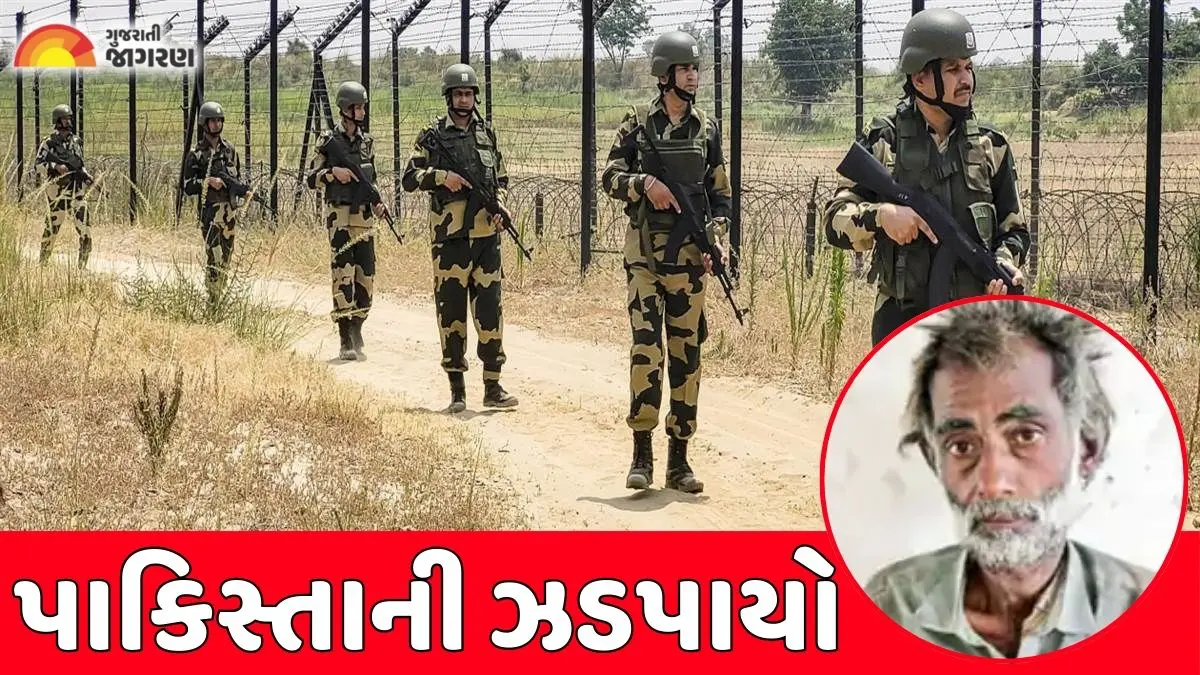 bsf-arrested-pakistani-man-trying-to-cross-india-pakistan-border-near-khavda-679584