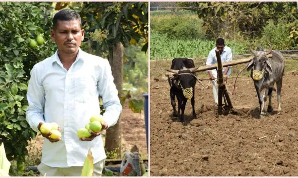 પ્રાકૃતિક ખેતીનો મિજાજ: સાગબારાના નાના કાકડીઆંબા ગામના ખેડૂત શંકરભાઈ વસાવા બન્યા આત્મનિર્ભર