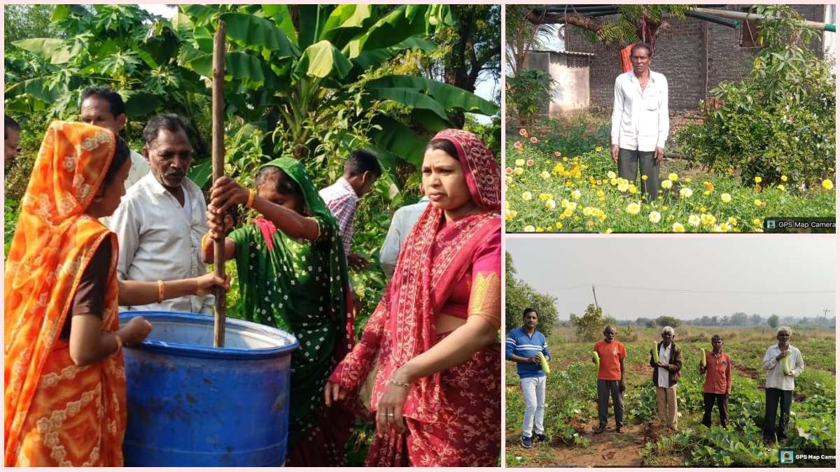 નર્મદા જિલ્લામાં પ્રાકૃતિક ખેતીનો નવો ટ્રેન્ડ: કિચન ગાર્ડન અને ફૂલોની ખેતી દ્વારા ખેડૂતો બન્યા આત્મનિર્ભર