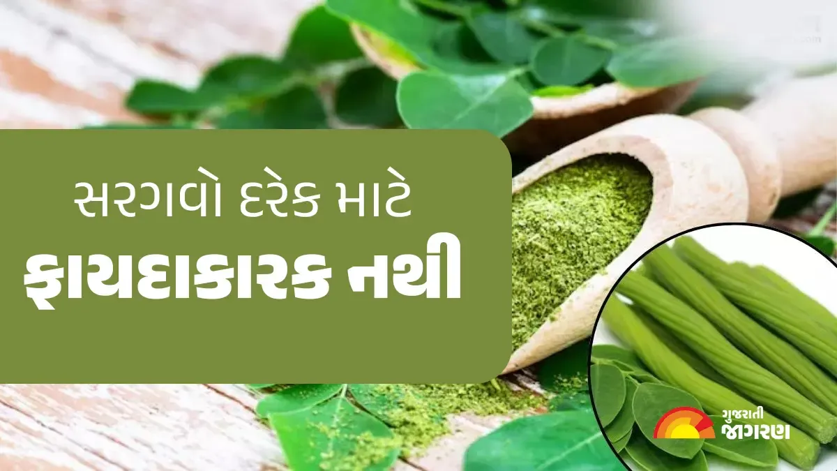 સાવધાન! આ 5 લોકોએ ભૂલથી પણ ન ખાવો જોઈએ સરગવો, ફાયદાને બદલે થઈ શકે છે મોટું નુકસાન