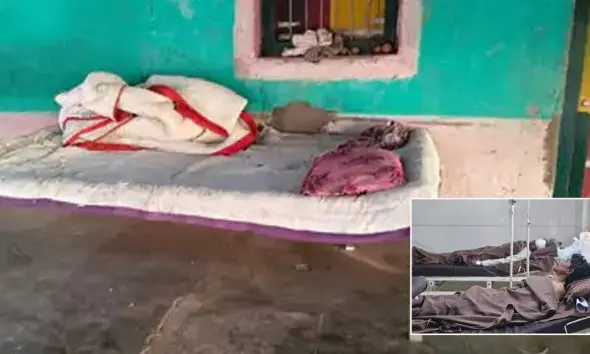 પુત્રને બચાવવા પિતાએ ખેલ્યો જીવ સટોસટનો ખેલઃ ઉનામાં વૃદ્ધે દીપડા સાથે બાથ ભીડી, દાતરડું મારી મોતને ઘાટ ઉતાર્યો