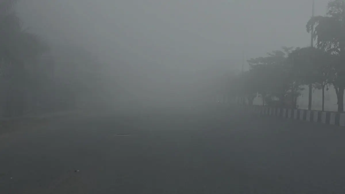 સુરત શહેર અને જિલ્લામાં આજે વહેલી સવારે ગાઢ ધુમ્મસ જોવા મળ્યું, હિલ સ્ટેશન જેવો માહોલ સર્જાયો