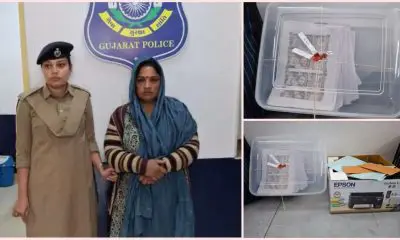 વલસાડ LCBનું મેગા ઓપરેશન: વાપીના હરીયાપાર્કમાં નકલી નોટ છાપવાનું કૌભાંડ ઝડપાયું; 24 લાખની ડુપ્લીકેટ કરન્સી સાથે બેની ધરપકડ