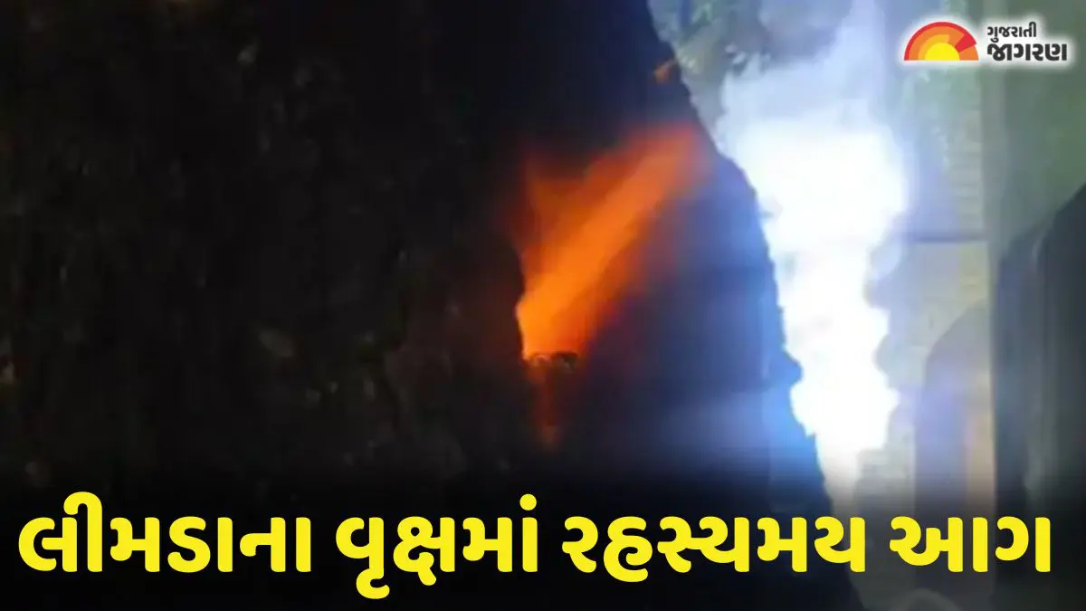 selarwad-area-neem-tree-trunk-fire-burning-continuously-for-last-two-days-in-ankleshwar-688122