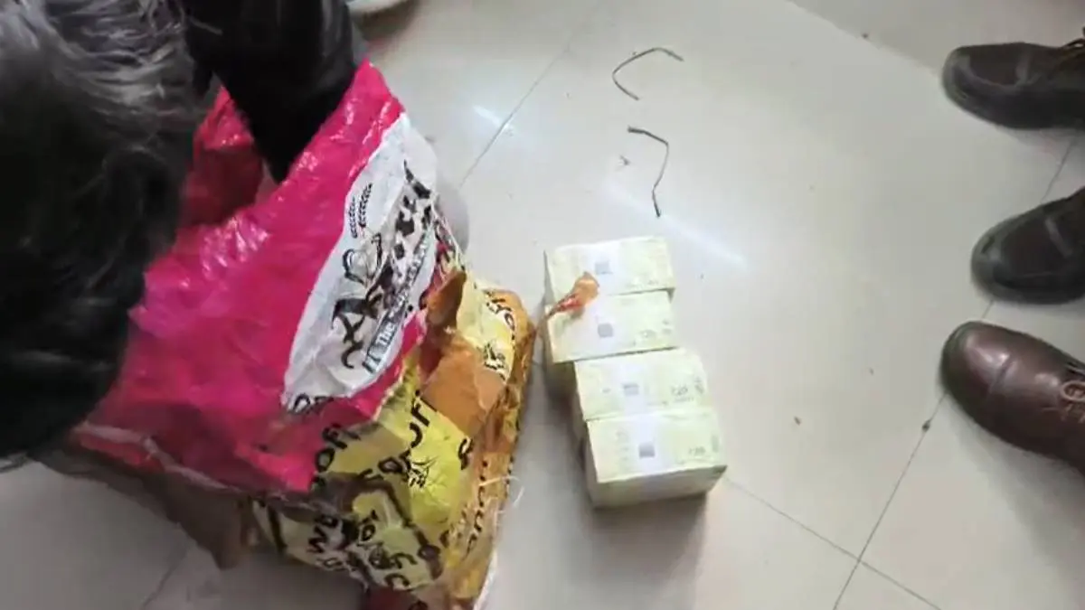 navsari-police-seize-rs-50-lakh-unaccounted-cash-from-tempo-on-nh-48-688418