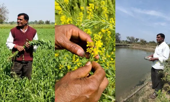 પશુ પાલન, મત્સ્ય ઉદ્યોગ અને પ્રાકૃતિક ખેતીઃ ત્રણ આયામો થકી અઢળક આવક રળતા વાઘોડિયાના પ્રગતિશીલ ખેડૂતની પ્રેરણાદાયી સફળતા