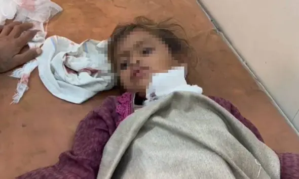 Amreli: પીઠવજાળની વાડીએ 6 વર્ષની બાળકી પર વન્ય પ્રાણીનો હિંસક હુમલો, ખેત મજૂરોમાં દહેશત; વન વિભાગની ટીમ ઘટના સ્થળે દોડી