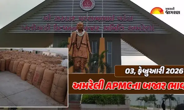 Amreli Market Yard Bhav Today: અમરેલી માર્કેટ યાર્ડના આજના બજાર ભાવ, જાણો કઇ જણસીનો કેટલો ઉંચો ભાવ બોલાયો