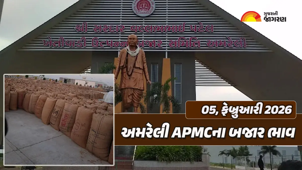 Amreli Market Yard Bhav Today: અમરેલી માર્કેટ યાર્ડના આજના બજાર ભાવ, જાણો કઇ જણસીનો કેટલો ઉંચો ભાવ બોલાયો