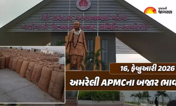 Amreli Market Yard Bhav Today: અમરેલી માર્કેટ યાર્ડના આજના બજાર ભાવ, જાણો કઇ જણસીનો કેટલો ઉંચો ભાવ બોલાયો