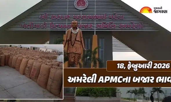 Amreli Market Yard Bhav Today: અમરેલી માર્કેટ યાર્ડના આજના બજાર ભાવ, જાણો કઇ જણસીનો કેટલો ઉંચો ભાવ બોલાયો