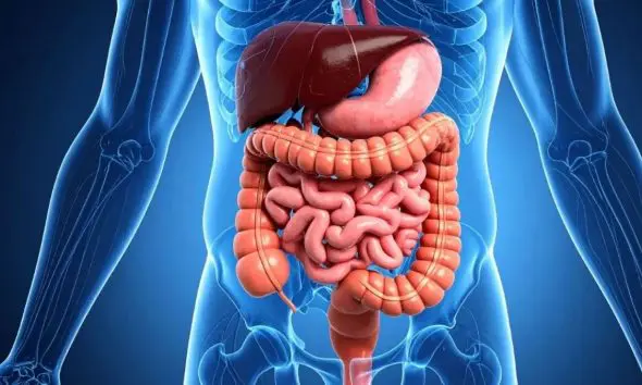 Foods For Fatty Liver: ફેટી લીવરમાંથી રાહત મેળવવા આ ટોપ 10 ફુડ્સનો ઉપયોગ કરો, ગેસ્ટ્રોએન્ટેરોલોજિસ્ટે યાદી શેર કરી