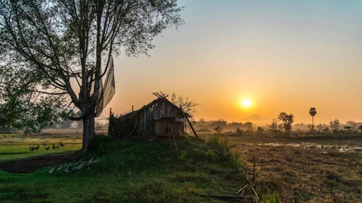 omg-news-why-this-village-in-chhattisgarh-has-not-celebrated-holi-for-150-years-700206