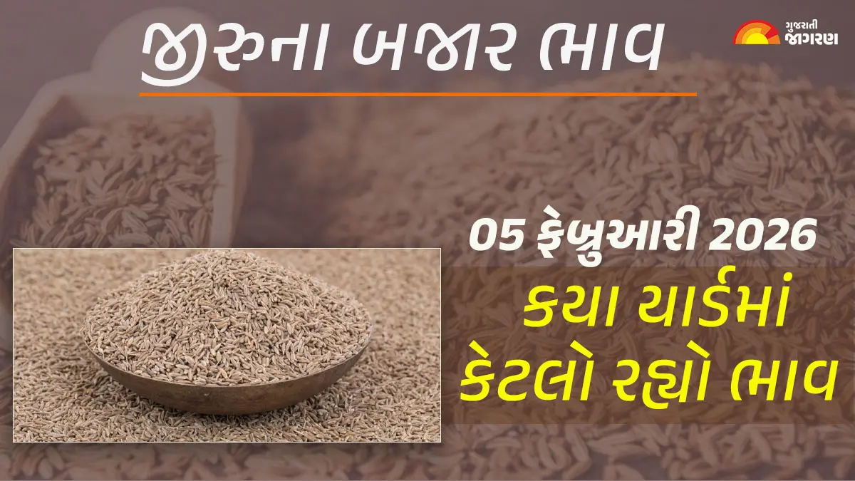 Jeera Price Today in Gujarat, February 05, 2026: ગુજરાતના 21 યાર્ડના જીરાના આજના બજાર ભાવ, જાણો કયા યાર્ડમાં ઊંચા-નીચા ભાવ શું રહ્યા?