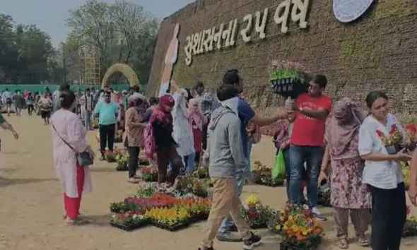 Navsari: ફ્લાવર શોની પૂર્ણાહુતિ બાદ ફૂલોના છોડ ખરીદવા પડાપડી, માત્ર ₹10માં છોડ મેળવવા લુંસીકુઈ ગ્રાઉન્ડ પર લાંબી કતારો