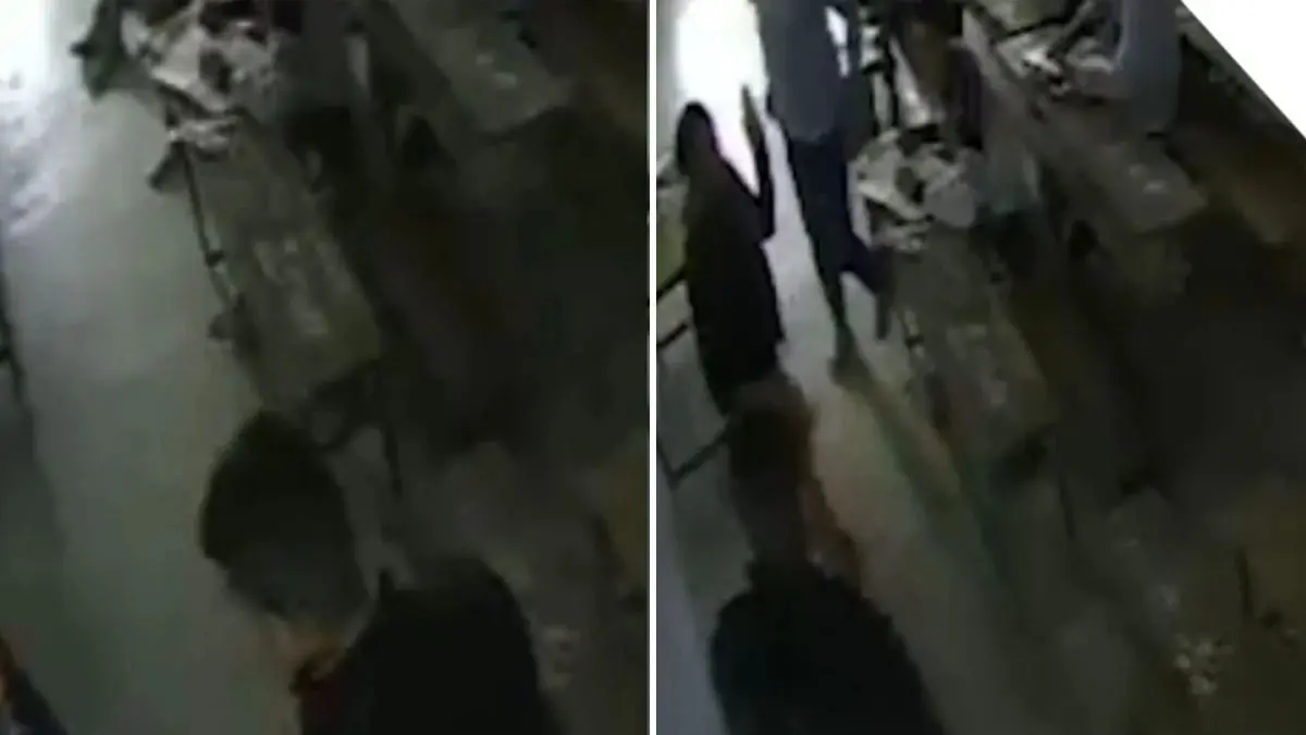 panchmahal-news-class-12-student-slaps-teacher-in-shehra-released-on-bail-688791