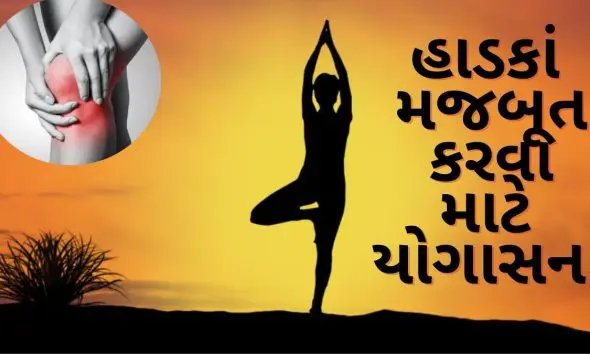 કેલ્શિયમની ગોળીઓને કહો બાય-બાય! યોગ દ્વારા બનાવો લોખંડ જેવા મજબૂત હાડકાં