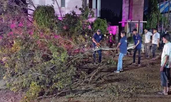 Anand: આણંદમાં ભારે પવન સાથે કમોસમી વરસાદ, 5 ઝાડ ધરાશાયી; મનપા દ્વારા યુદ્ધના ધોરણે રાહત કામગીરી