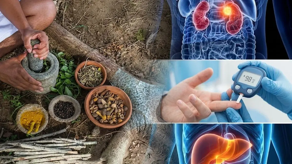 Ayurveda Health Tips: ડાયાબિટીસ, કિડની અને લીવરની બીમારીથી બચવા માટે આયુર્વેદિક રુટીન કેવો હોવો જોઈએ?
