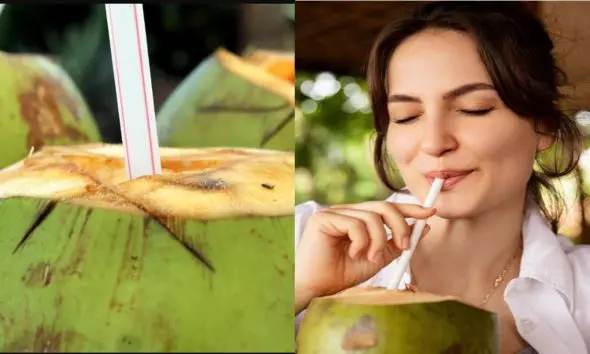 Coconut Water: નારિયેળ પાણી કોણે પીવું જોઈએ નહીં, કોણે થઈ શકે છે ભારે નુકસાન, આ વિશેષ સાવધાની રાખો